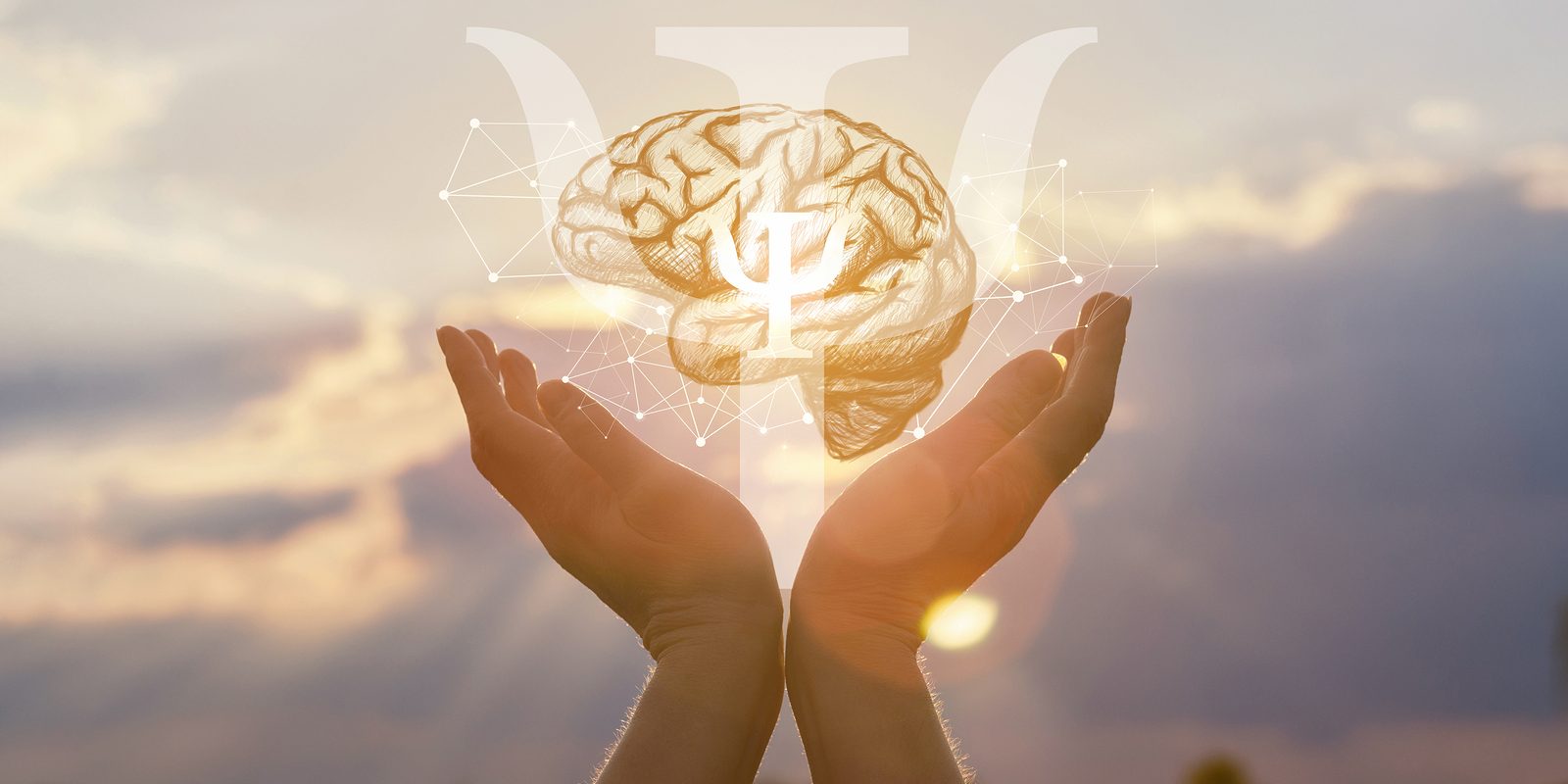 The Concept Of The Psychology Of Thinking. Hands Showing Symbol