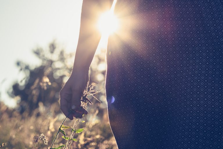 Woman In Nature In Sunset. People In Nature. Woman In Meadow Sun